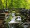 Bad Urach