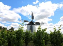 Windmühle