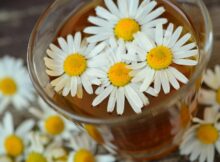 Blumen