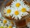 Blumen