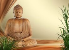 Wellness Buddha