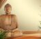 Wellness Buddha