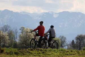 E-Bikes