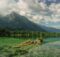 Hintersee