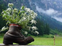 Wandern