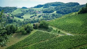 Südsteiermark