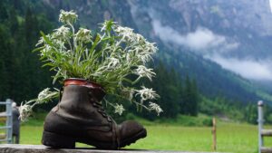 Wandern