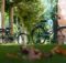 fahrrad fahren