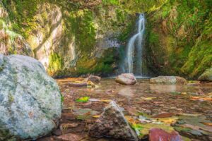 Wasserfall Schwarzwald