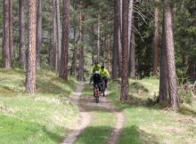 Mountainbike