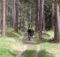 Mountainbike