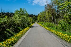 Rhön