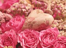 Rosen