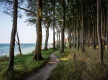 Rügen