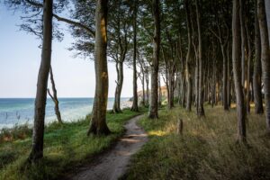 Rügen