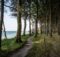 Rügen