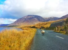 Irland
