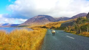 Irland