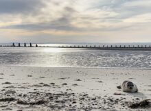 Nordsee