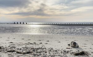 Nordsee