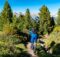 Mountain Biike Urlaub