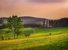 Sauerland