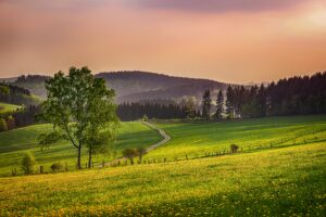 Sauerland