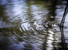 Wasser