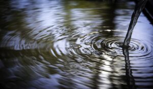 Wasser
