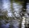 Wasser