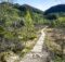 Bayerischer Wald