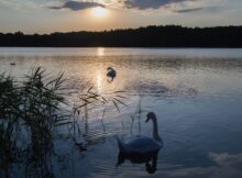 Mecklenburg