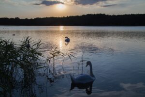 Mecklenburg