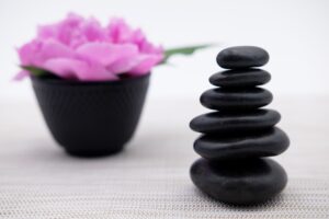 Wellness
