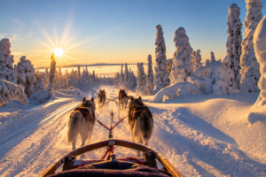 Winterlandschaft