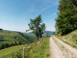 Schwarzwald