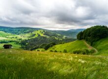 Schwarzwald