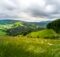 Schwarzwald